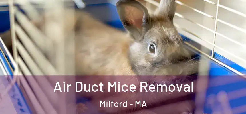 Air Duct Mice Removal Milford - MA