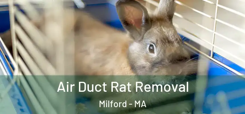 Air Duct Rat Removal Milford - MA