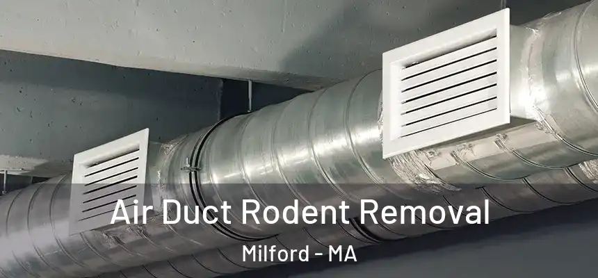 Air Duct Rodent Removal Milford - MA