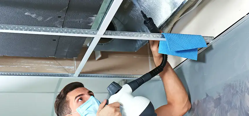 Our Air Duct Rodent Removal Services in Milford, MA