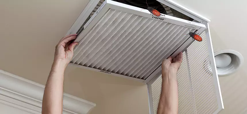 Our Insect Removal from Air Ducts Services in Milford, MA