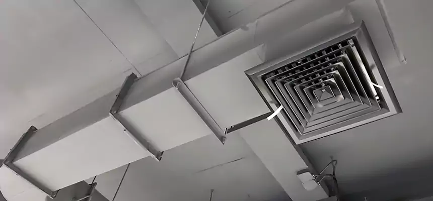 Our Pest Removal From Ducts Services in Milford, MA