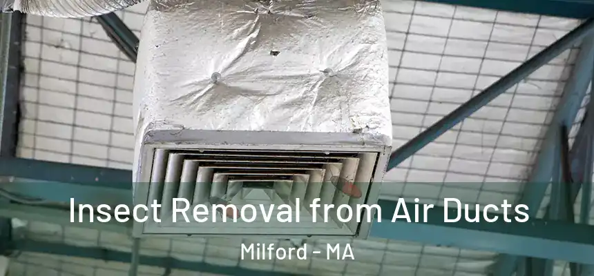 Insect Removal from Air Ducts Milford - MA