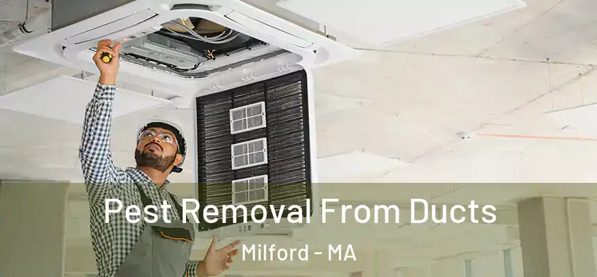  Pest Removal From Ducts Milford - MA