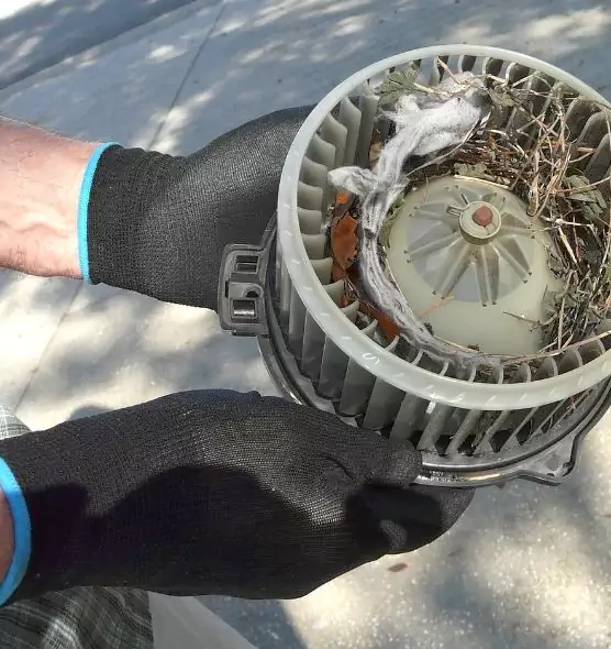 About Air Duct Rat Removal in Milford, MA