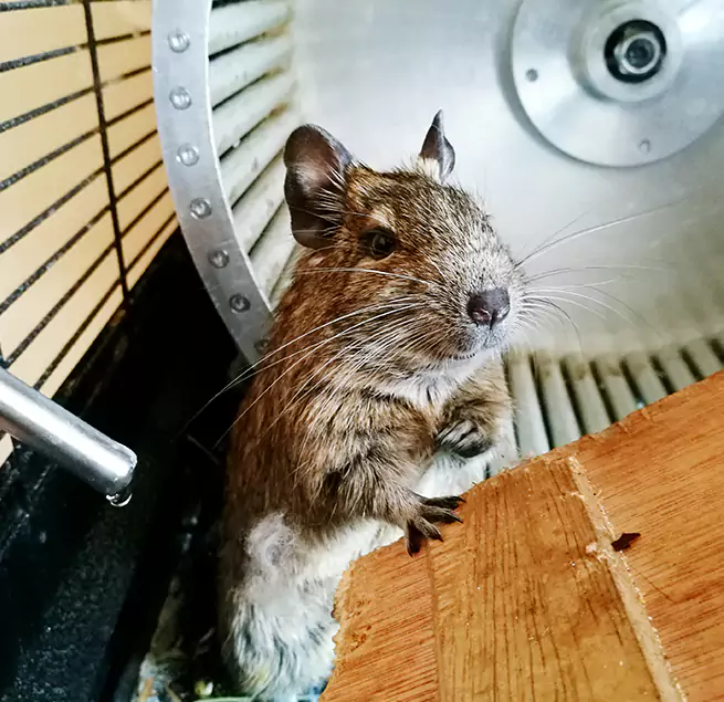 Why Homeowners & Businesses Trust Us Milford, MA