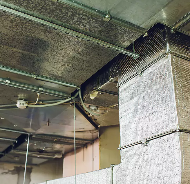 Why Homeowners & Businesses Trust Us in Milford, MA?